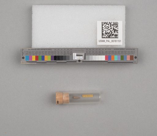 NSF ADBC EPICC TCN