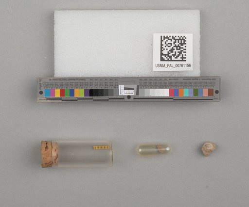 NSF ADBC EPICC TCN
