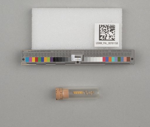 NSF ADBC EPICC TCN