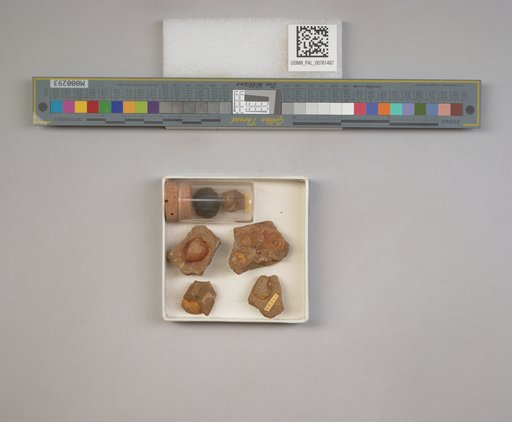 NSF ADBC EPICC TCN