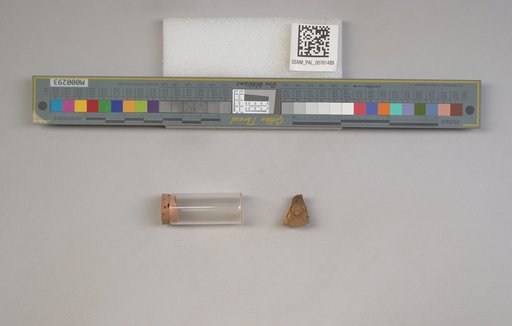 NSF ADBC EPICC TCN