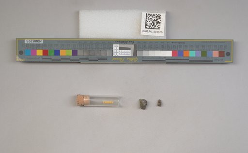 NSF ADBC EPICC TCN