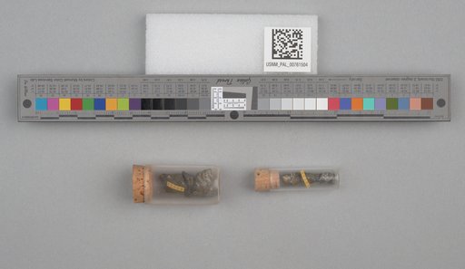 NSF ADBC EPICC TCN