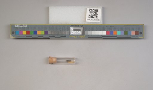 NSF ADBC EPICC TCN