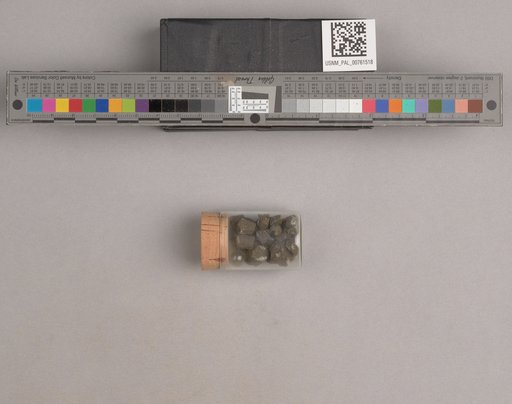 NSF ADBC EPICC TCN