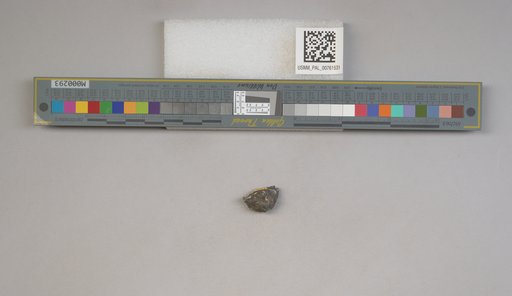 NSF ADBC EPICC TCN