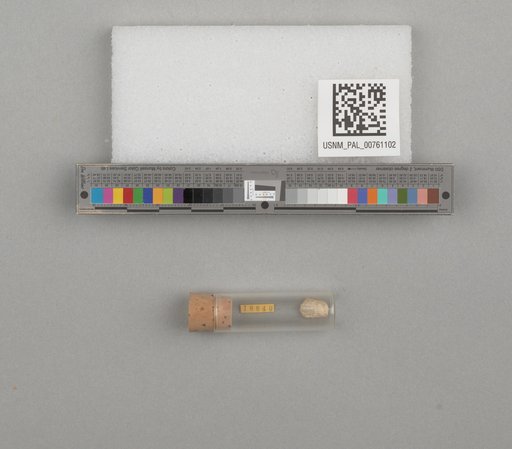 NSF ADBC EPICC TCN