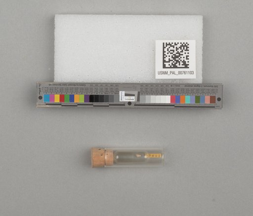 NSF ADBC EPICC TCN