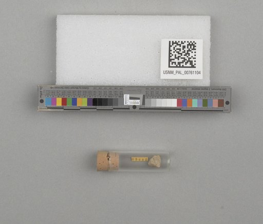 NSF ADBC EPICC TCN