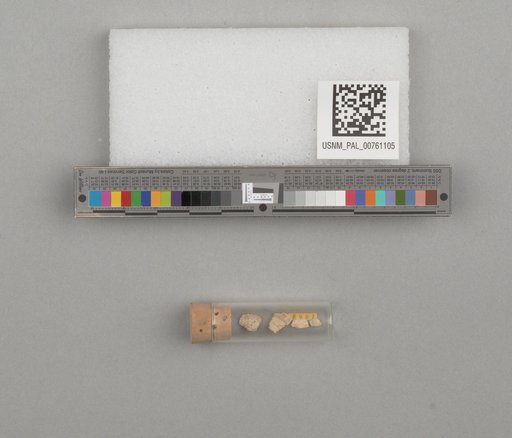 NSF ADBC EPICC TCN