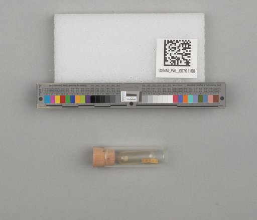 NSF ADBC EPICC TCN