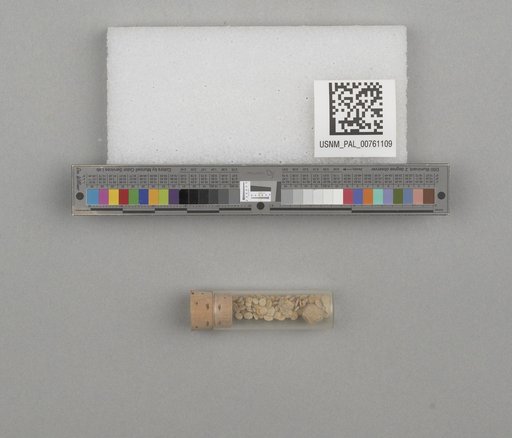 NSF ADBC EPICC TCN