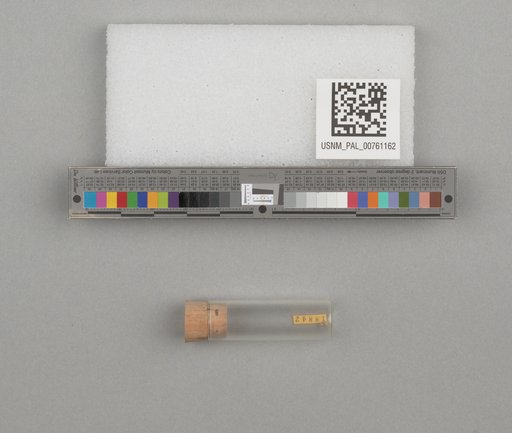 NSF ADBC EPICC TCN