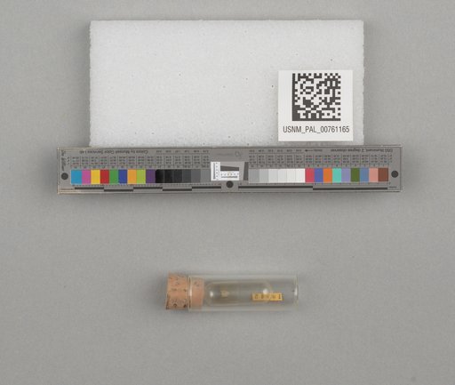 NSF ADBC EPICC TCN