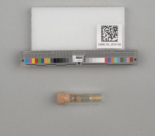 NSF ADBC EPICC TCN