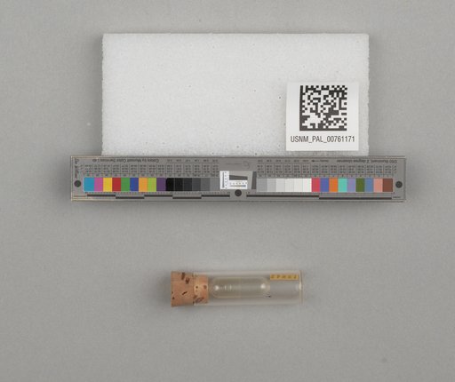NSF ADBC EPICC TCN
