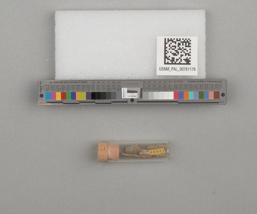 NSF ADBC EPICC TCN