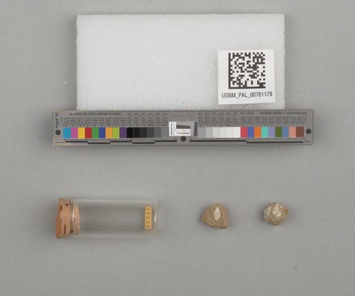 NSF ADBC EPICC TCN