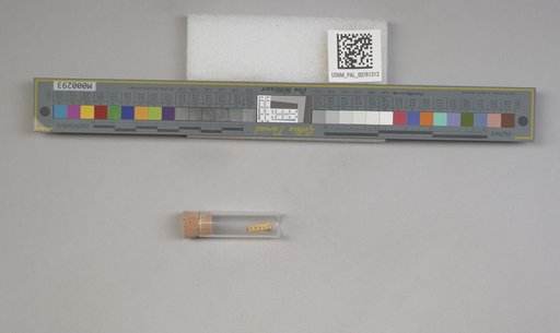 NSF ADBC EPICC TCN