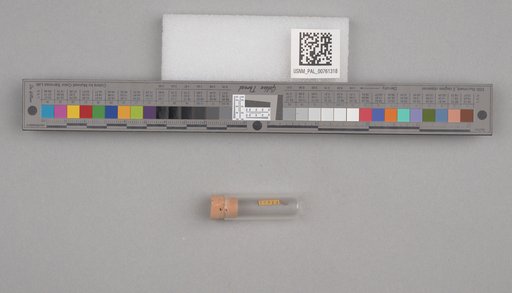 NSF ADBC EPICC TCN