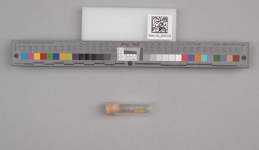 NSF ADBC EPICC TCN