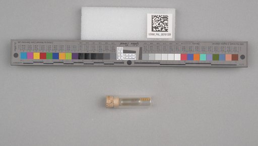 NSF ADBC EPICC TCN