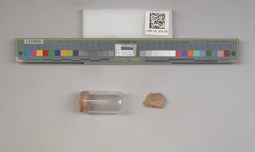 NSF ADBC EPICC TCN