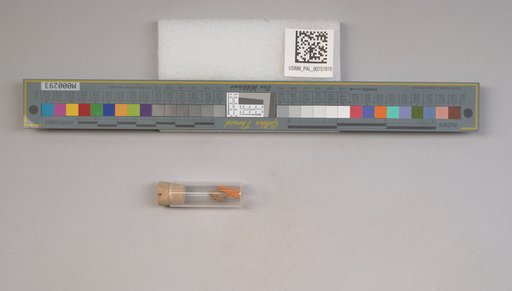 NSF ADBC EPICC TCN