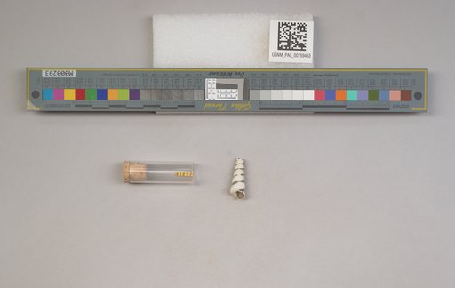 NSF ADBC EPICC TCN
