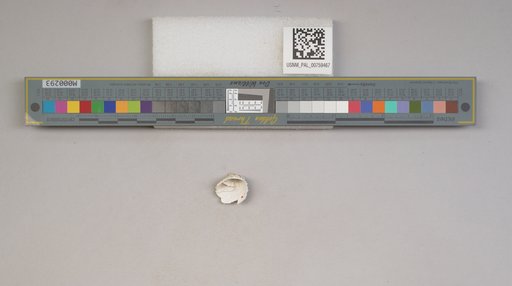 NSF ADBC EPICC TCN