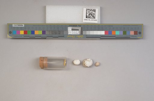 NSF ADBC EPICC TCN
