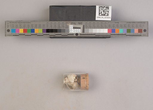 NSF ADBC EPICC TCN