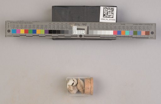 NSF ADBC EPICC TCN