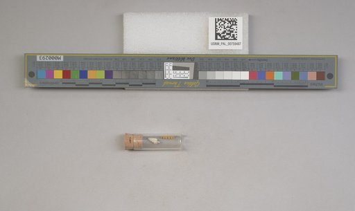 NSF ADBC EPICC TCN