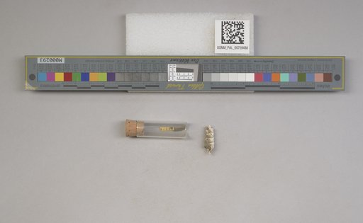 NSF ADBC EPICC TCN