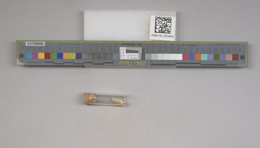 NSF ADBC EPICC TCN