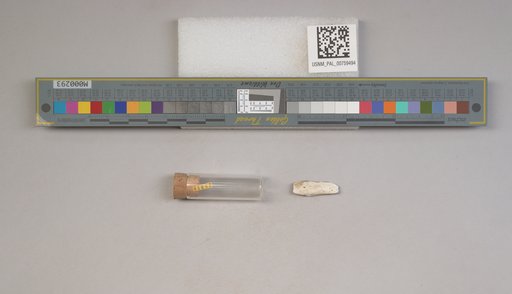 NSF ADBC EPICC TCN