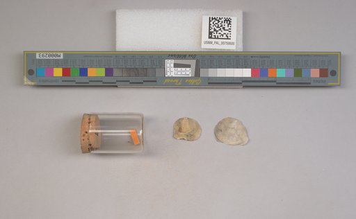 NSF ADBC EPICC TCN