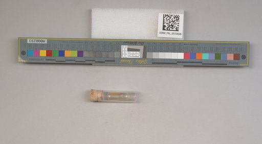 NSF ADBC EPICC TCN