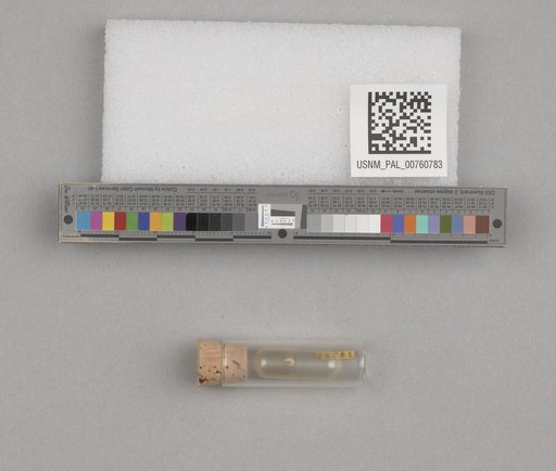 NSF ADBC EPICC TCN