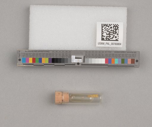 NSF ADBC EPICC TCN