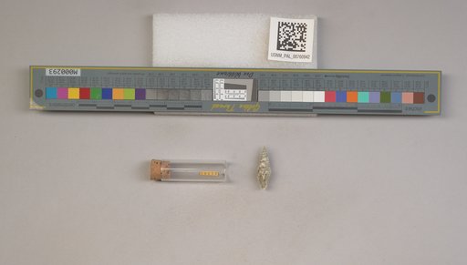 NSF ADBC EPICC TCN