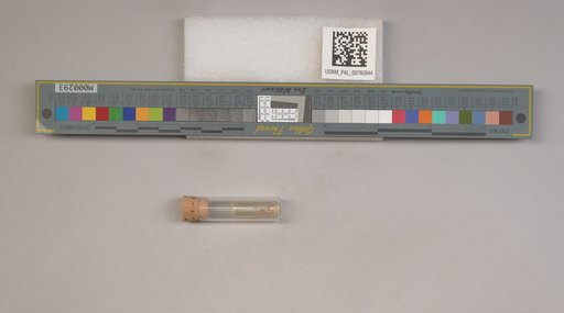 NSF ADBC EPICC TCN
