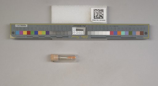 NSF ADBC EPICC TCN