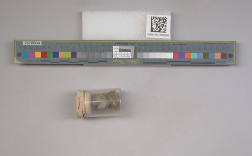 NSF ADBC EPICC TCN