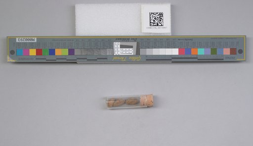 NSF ADBC EPICC TCN