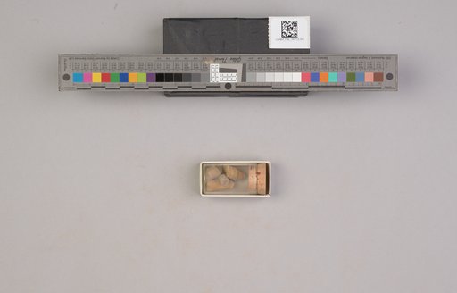 NSF ADBC EPICC TCN