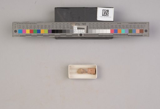 NSF ADBC EPICC TCN