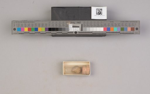 NSF ADBC EPICC TCN
