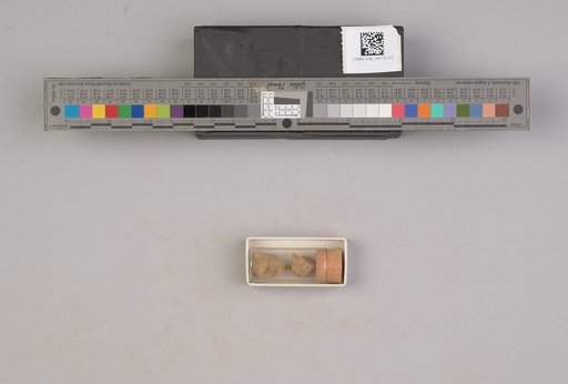 NSF ADBC EPICC TCN
